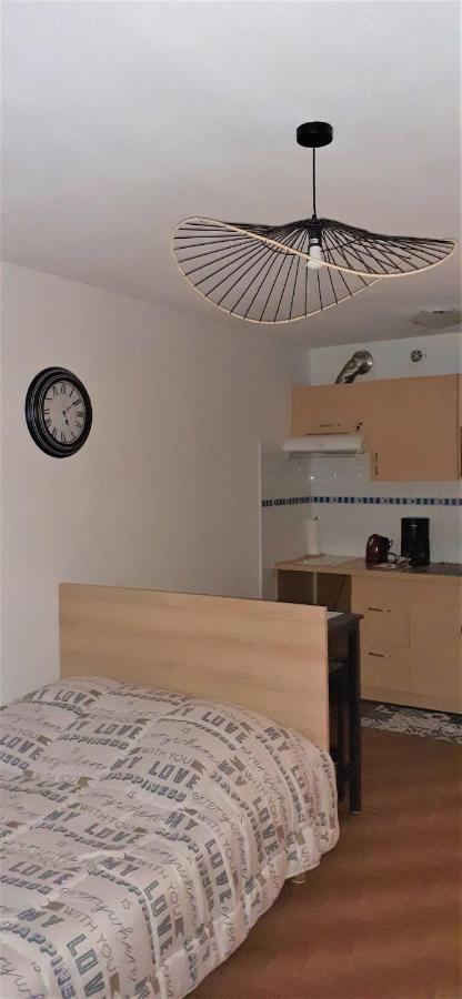 베지에 Agreable Logement Proche De La Gare Et Du Polygone 아파트 외부 사진